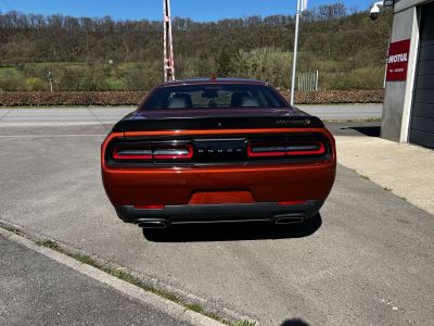 Dodge Challenger 64 Scatpack Widebody LAST CALL   - 6