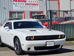 Dodge 