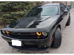 Dodge 