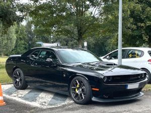 Dodge 