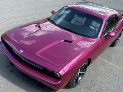 Dodge Challenger SRT8 6,1L FURIOUS FUSHIA 069/400   - 2