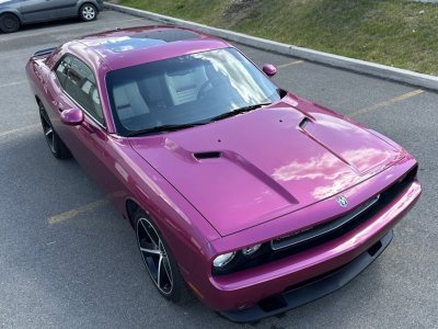 Dodge Challenger SRT8 6,1L FURIOUS FUSHIA 069/400   - 3