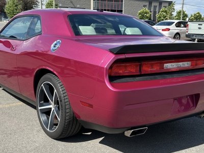 Dodge Challenger SRT8 6,1L FURIOUS FUSHIA 069/400   - 5