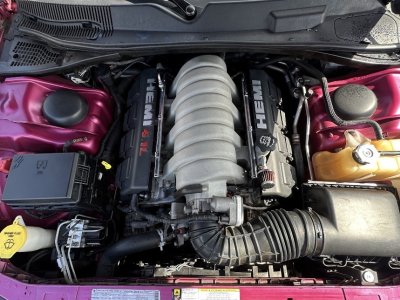 Dodge Challenger SRT8 6,1L FURIOUS FUSHIA 069/400   - 7