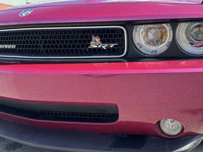 Dodge Challenger SRT8 6,1L FURIOUS FUSHIA 069/400   - 12