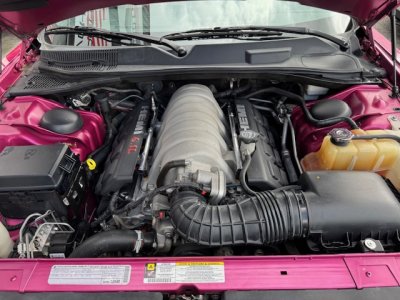 Dodge Challenger SRT8 6,1L FURIOUS FUSHIA 069/400   - 21