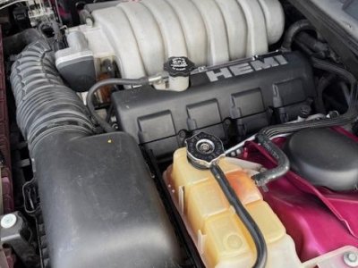 Dodge Challenger SRT8 6,1L FURIOUS FUSHIA 069/400   - 22