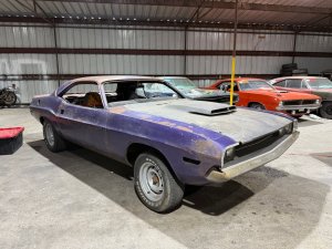 Dodge 
