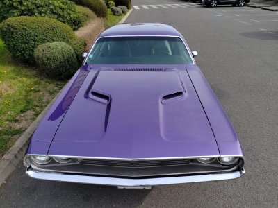 Dodge Challenger BIG BLOCK 383, ORIGINE FRANCE   - 9
