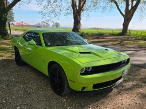 Dodge 