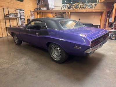 Dodge Challenger 1970 V8 383ci Plum Crazy   - 3