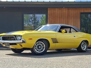 Dodge 