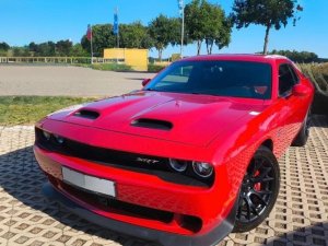 Dodge 