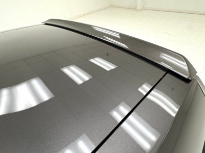 Dodge Challenger R/T Redline Hardtop   - 20