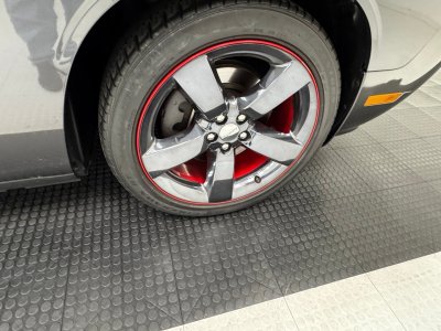 Dodge Challenger R/T Redline Hardtop   - 24